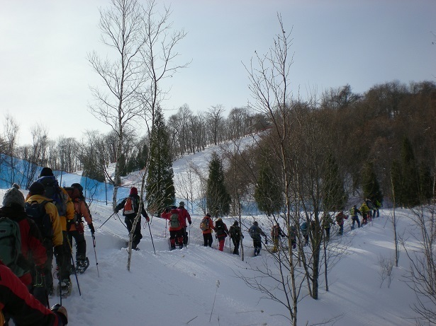 DSCN6252.JPG