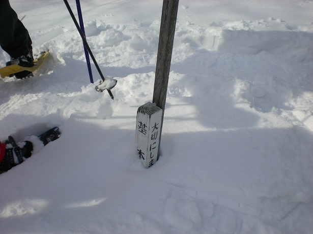 DSCN6264.JPG