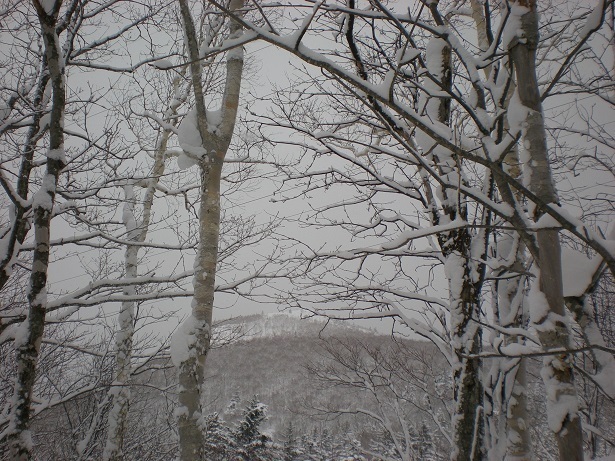DSCN6323.JPG