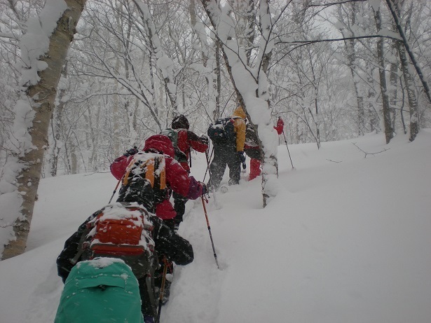 DSCN6331.JPG