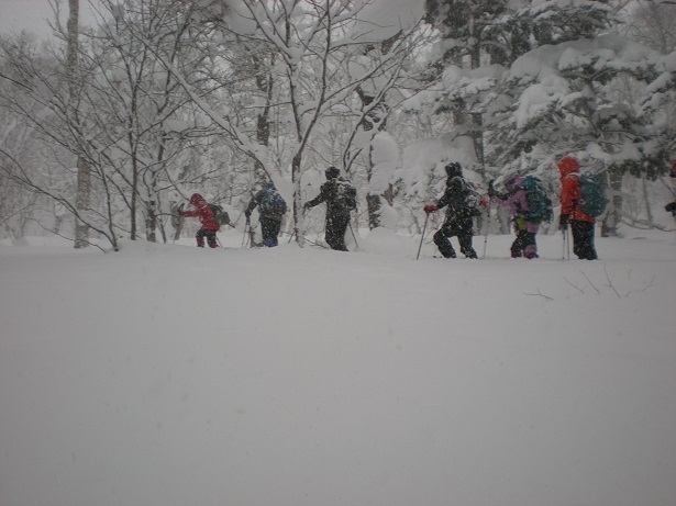 DSCN6333.JPG