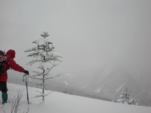 DSCN6336.JPG