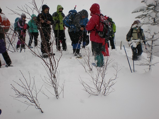 DSCN6338.JPG