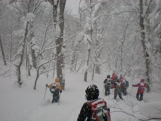 DSCN6346.JPG