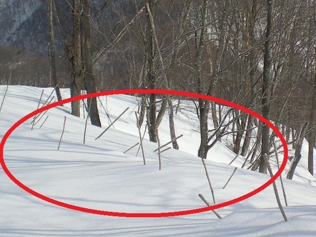 DSCN6392.JPG