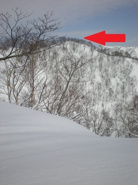 DSCN6408.JPG