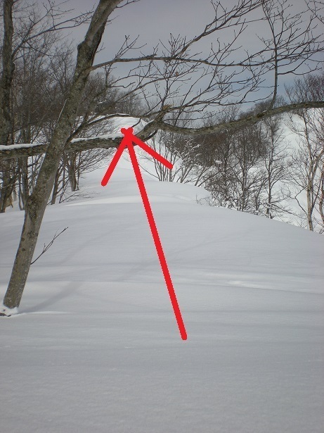 DSCN6414.JPG