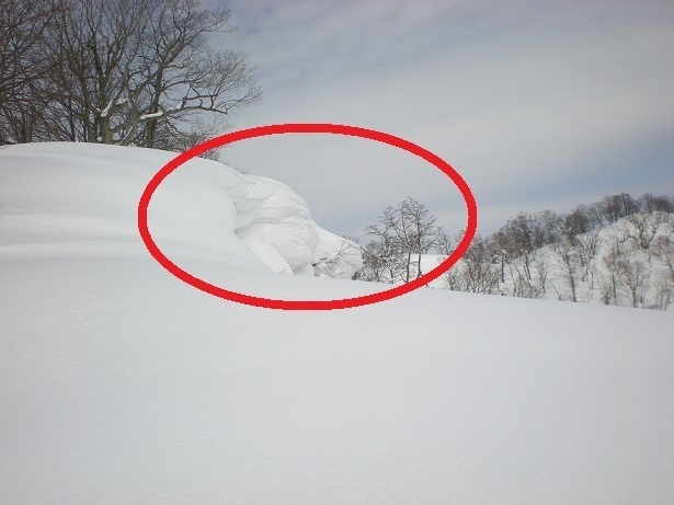 DSCN6415.JPG
