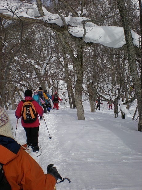 DSCN6416.JPG