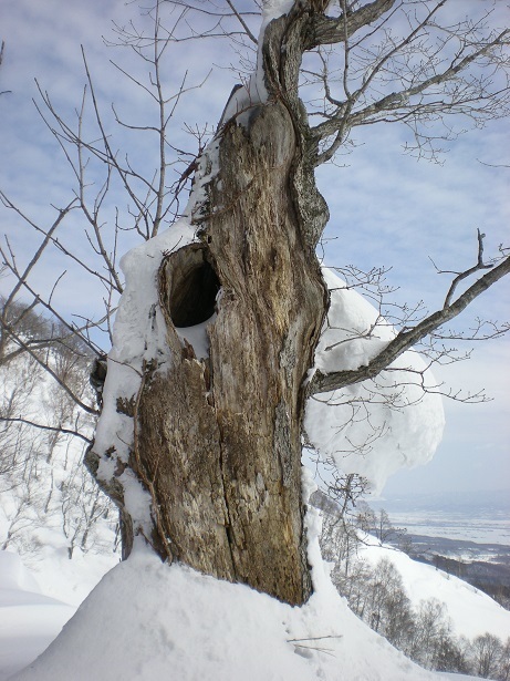 DSCN6418.JPG