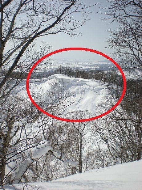 DSCN6426.JPG