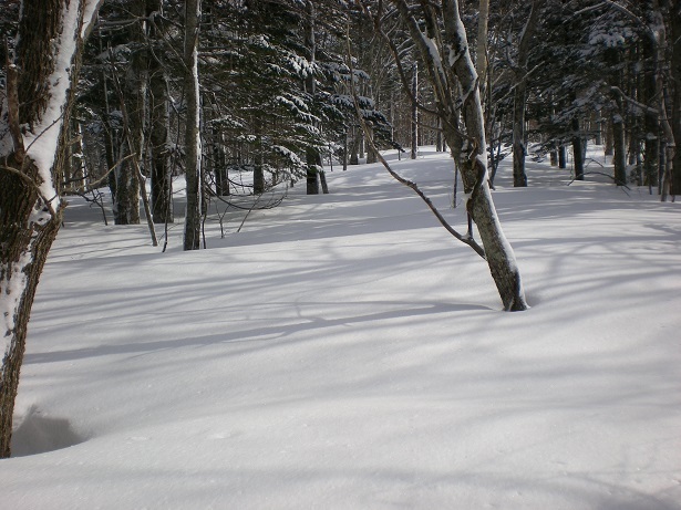 DSCN6463.JPG