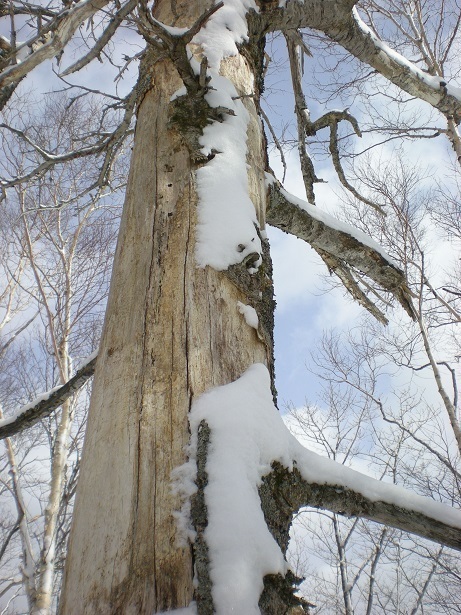 DSCN6466.JPG