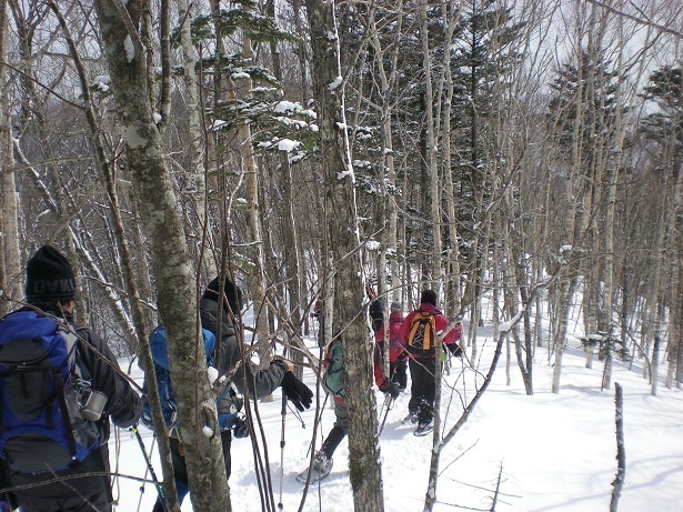 DSCN6467.JPG