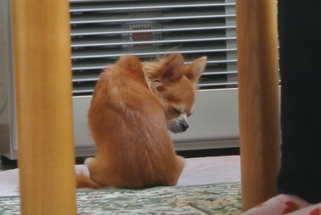 DSC_6854.JPG