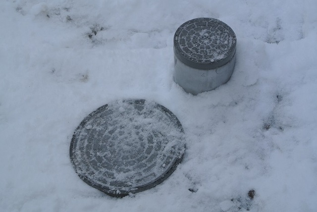 DSC_7331.JPG