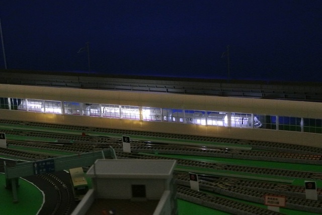 DSC_7344.JPG