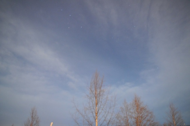 DSC_7610-1.JPG