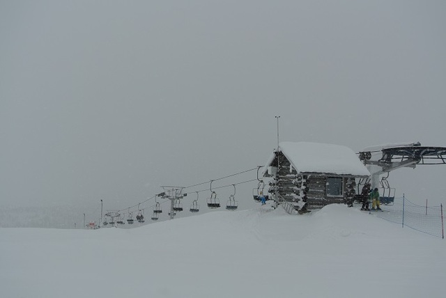 DSC_7699.JPG
