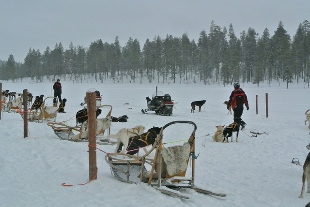 DSC_7743.JPG