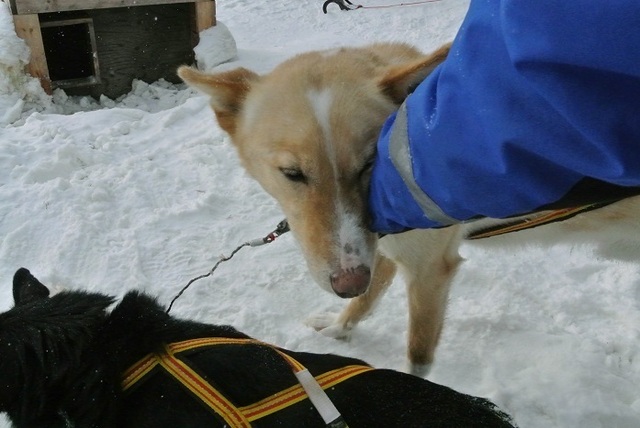 DSC_7765.JPG