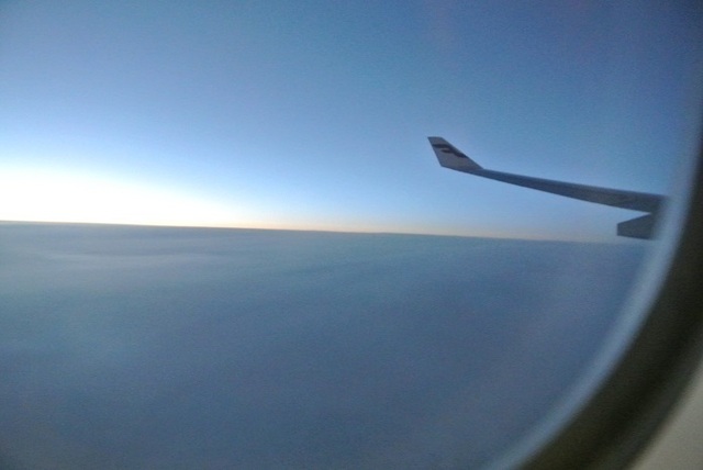 DSC_7915.JPG