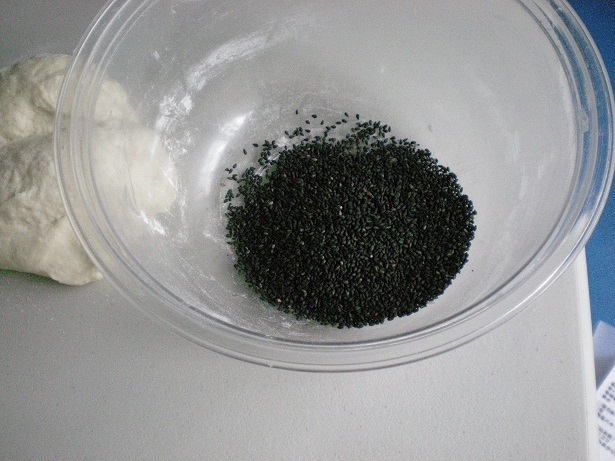 DSCN6994.JPG