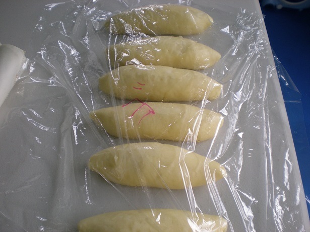 DSCN7213.JPG