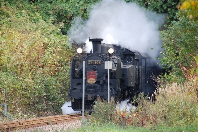 DSC_0026.JPG