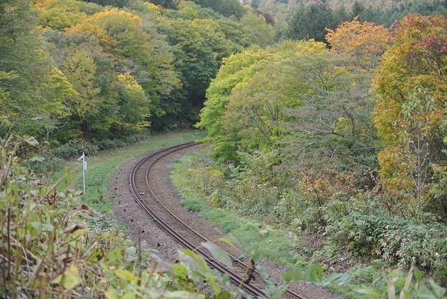 DSC_0038.JPG