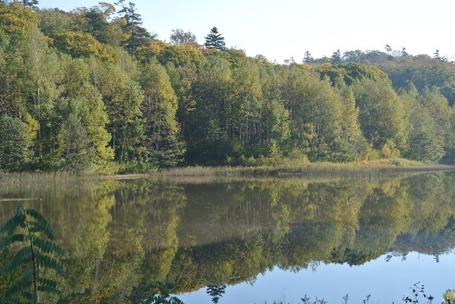 DSC_3718.JPG