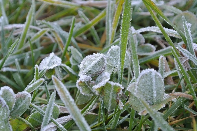 DSC_3720.JPG