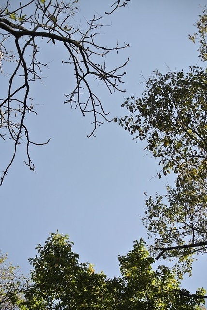 DSC_3742.JPG