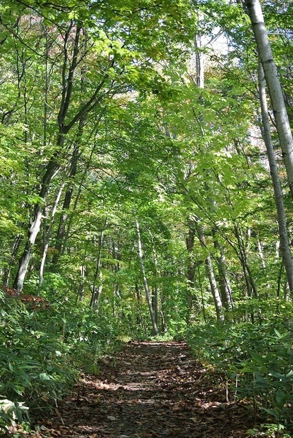 DSC_3756.JPG