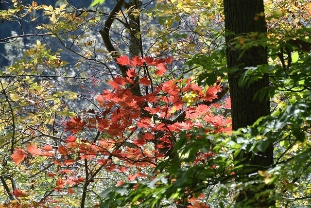 DSC_3757.JPG