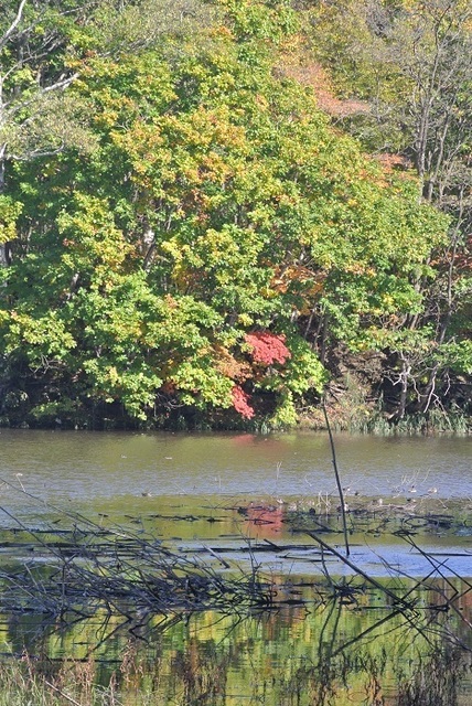 DSC_3759.JPG