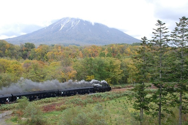 DSC_3795.JPG