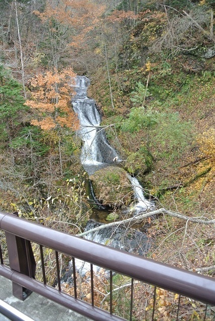 DSC_3879.JPG