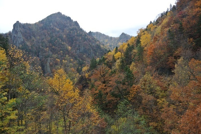 DSC_3880.JPG