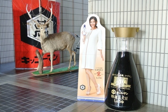 DSC_3969.JPG