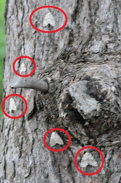 DSC_4313.JPG