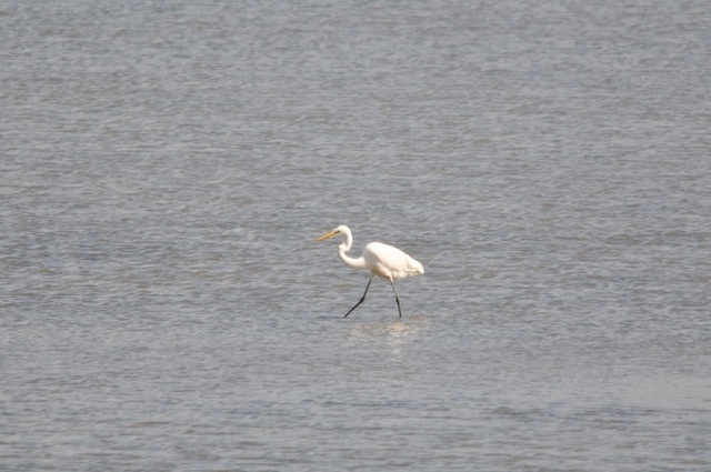 DSC_4349.JPG