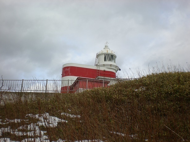 DSC_4516.JPG