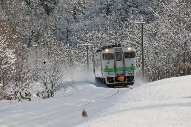 DSC_4586.JPG