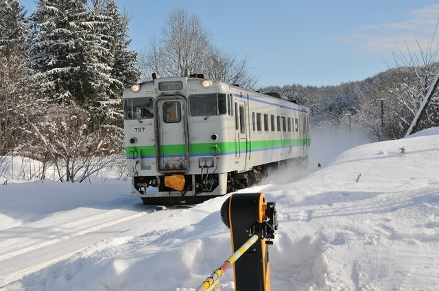 DSC_4595.JPG