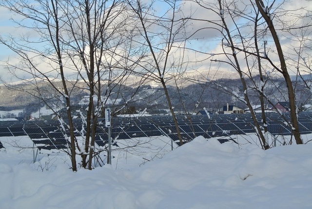 DSC_5211.JPG