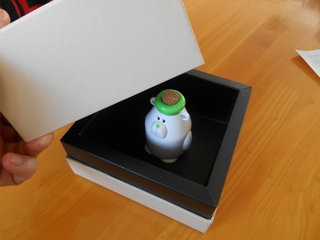 DSCN0981.JPG