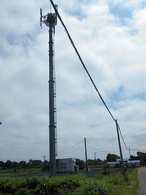 DSCN2762-1.JPG