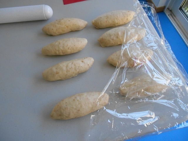 DSCN2903-1.JPG