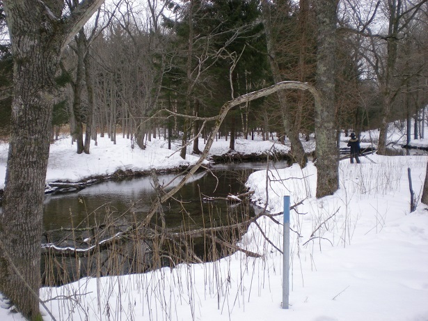 DSCN7624.JPG
